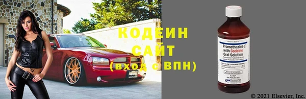 2c-b Краснослободск