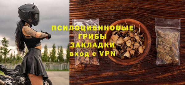2c-b Краснослободск