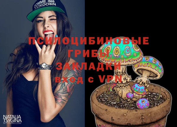 2c-b Краснослободск