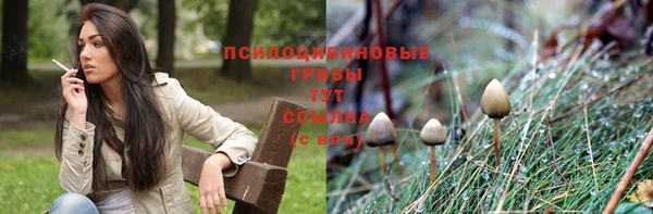 альфа пвп Краснотурьинск