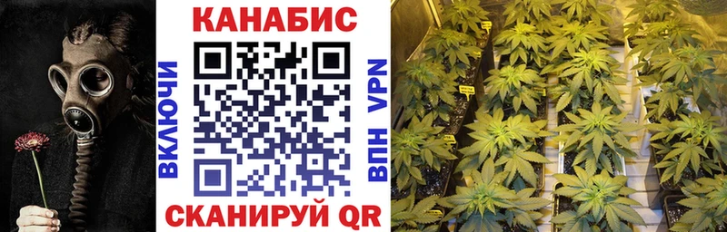 Конопля планчик  продажа наркотиков  Кумертау 
